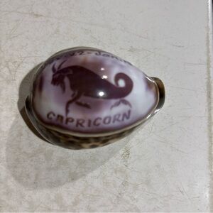 Capricorn Zodiac Shell Decor Dated